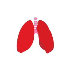 Lungs