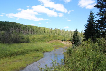Summer On The Creek, Whitemud Park, Edmonton, Alberta