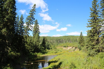 Summer Lands, Whitemud Park, Edmonton, Alberta