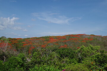 Fototapeta premium インドネシア バリ島のウルワツ寺院
