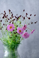 八重咲きのコスモスの花とワレモコウ