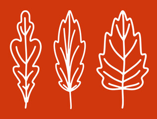Obraz premium A collection of fallen autumn leaves of different shapes. Autumn background, a poster with different leaves. Seasonal autumn elements for creating postcards, invitations, posters. Cartoon flat style
