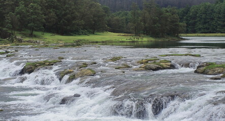 beautiful and scenic view of pykara waterfalls and pykara river, the river is flowing through green coniferous forest on the foothills of nilgiri mountains near ooty in tamil nadu, south india