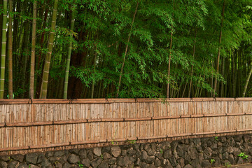 竹と竹垣
