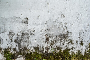 Abstract old dirty dark mossy plaster cement concrete wall texture copy space background