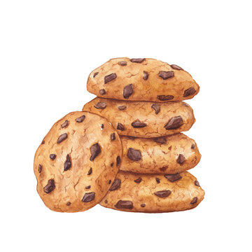 Watercolor chocolate chip cookie. Hand drawn food illustration on a white