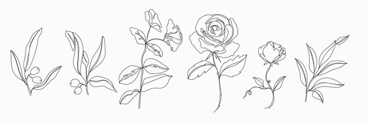 Fototapeta na wymiar minimal botanical graphic sketch line art drawing, trendy tiny tattoo design, floral elements vector illustration