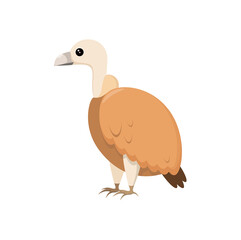 Cute cartoon-style vulture on a white background.
