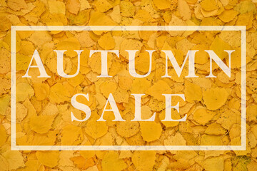 Opasity text AUTUMN SALE in rectangle on yellow autumn fallen leaves background. Autumn discount concept.