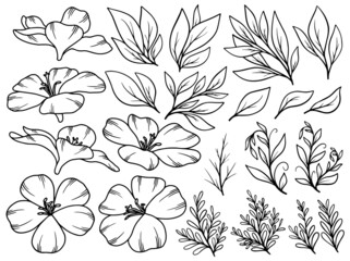 Obraz premium Hand drawn flower sketch line art illustration set.