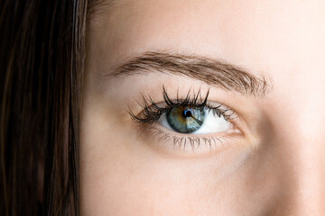 Female eye with long eyelashes. Woman's lashes after beauty procedure of eyelash lifting and laminating in beauty clinic.