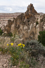 トルコ　カッパドキアのギョレメ国立公園のレッドバレーの奇岩群と洞窟住居