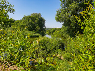 Summer hot sunny day near a quiet little river. Blue skies can be seen through lush greenery. Silence, calmness and pacification. Design for travel, leisure, fishing.