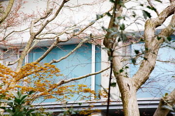 日本庭園
