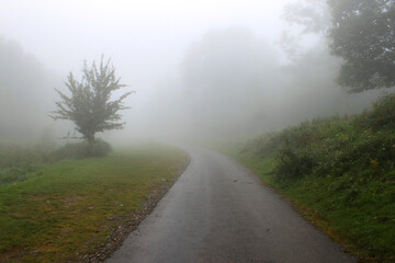 La route dans la brume.  La route tourne et se perd dans la brume. Il y a quelques arbres et de la végétation qui disparaissent dans le brouillard.