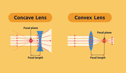 vector illustration of concave lens and convex lens - obrazy, fototapety, plakaty