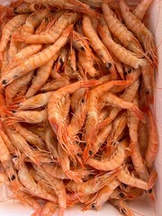 fresh shrimps on the market