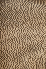 United Arab Emirates. Desert.