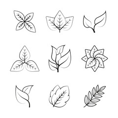 Set of 9 different leaves vector icon. Contains Such Symbols As Plant, Leaf. Linear simple icon set.