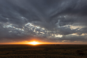 Naklejka na ściany i meble Glowing sunset over the Kazakh steppe.