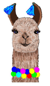 Funny Llama