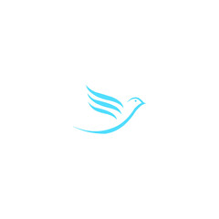 Bird logo design desifn vector,editabele eps 10