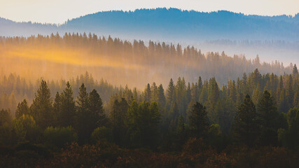 mist in the mountains