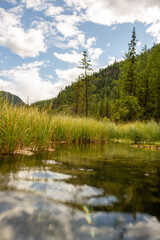 photograph of a gurgling stream, taken close to water and grass growing along the water against the background of mountains and sky with clouds, mountain altai russia
