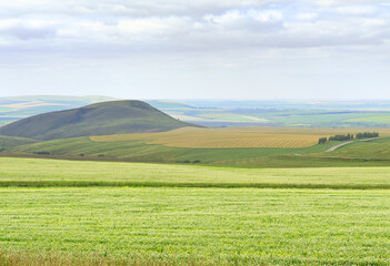 Rural field in the foothills of the Altai