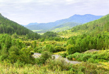 Green river bank in the Altai Mountains