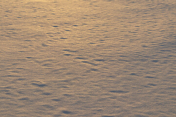 冬　雪　夕暮れ