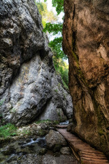 Walking trail in rocky canyon. Prosiecka valley in Slovakia