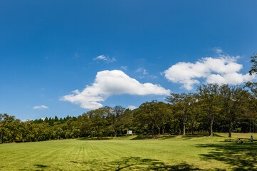 初秋の青い空と雲