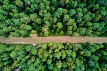 Straight forest road in mixed bright green forest, right angle aerial view