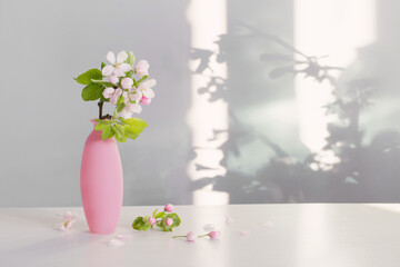 branches of  apple tree with flowers in pink vase on white table