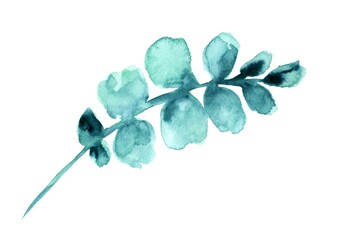 Naklejka na ściany i meble Winter plants for Christmas decoration, blue color. Isolated, white background. Watercolor hand painted illustrations