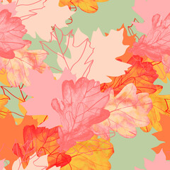 Autumn oak leaves.Image on white and colored background.Seamless pattern.