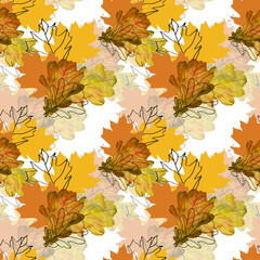 Autumn oak leaves.Image on white and colored background.Seamless pattern.