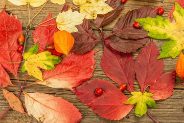 Obraz premium Colorful fall leaves on old wooden boards