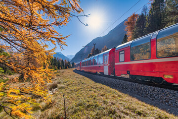 Bernina Swiss red train in autumn