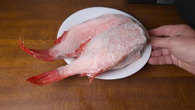 Two frozen headless redfish carcasses covered with hoarfrost
