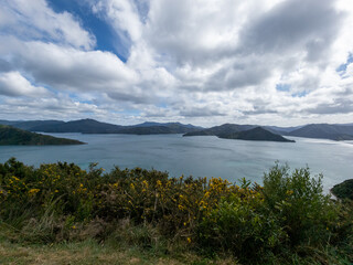 Fototapeta na wymiar Picton, Marlborough, New Zealand Landscape