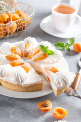 Cake cheesecake with apricots, summer dessert.