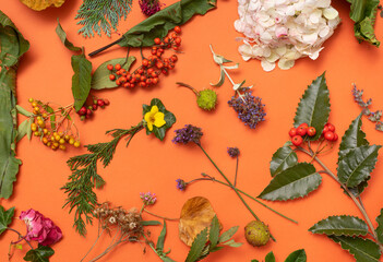 Autumn season floral arrangement. made with hortensia flower cashew nuts lavender and other...