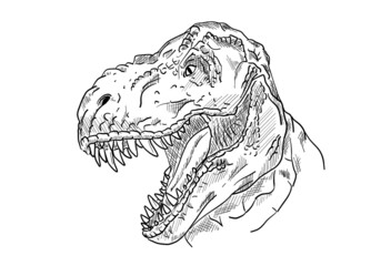 Naklejka premium dinosaur head with an open mouth