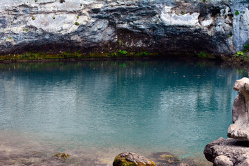 lake in the forest