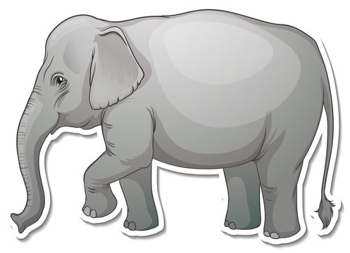 A sticker template of elephant cartoon character