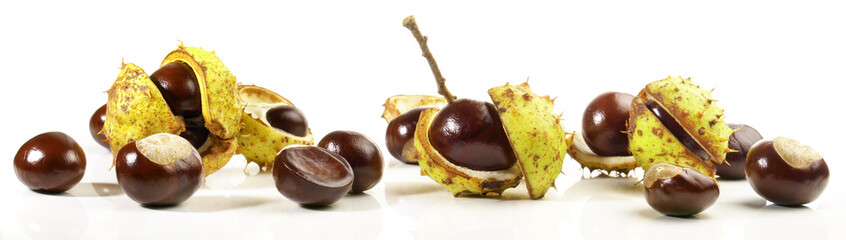 Chestnuts isolated on white Background - Chestnut Panorama