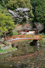 Fototapeta premium 大原野神社 鯉沢池 京都市西京区