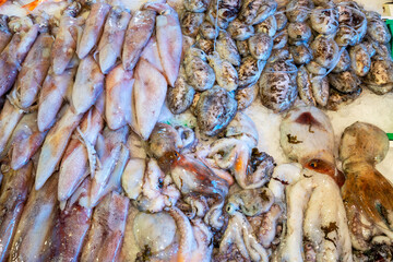 Raw seafood at fish market. Catania, Sycily, Italy